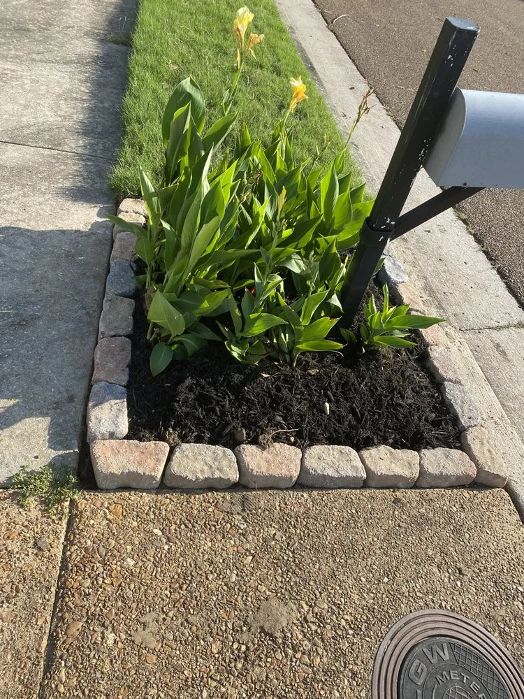 Affordable garden landscaping in Memphis, TN - Hermosa Landscapes