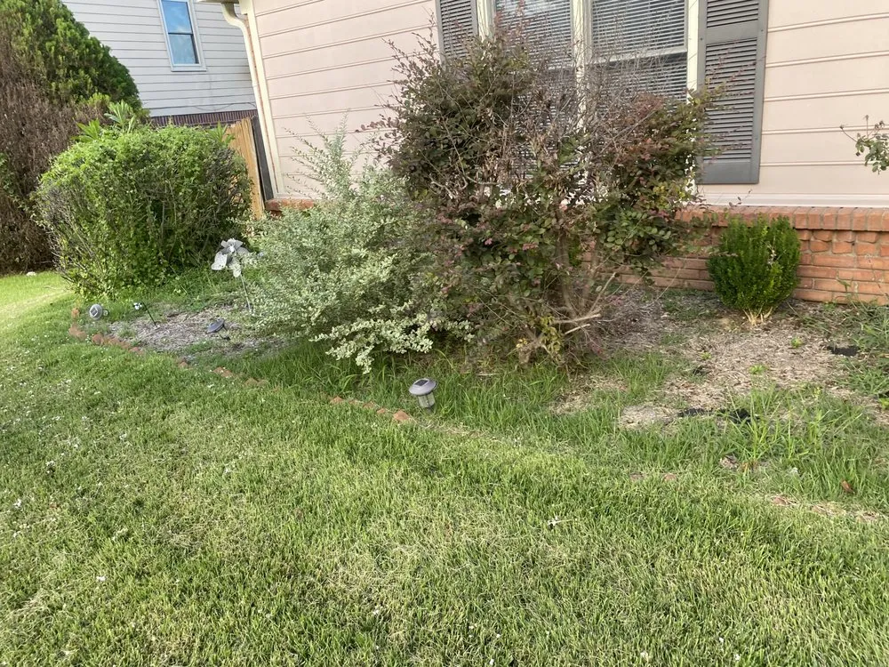 Affordable garden landscaping in Memphis, TN by Hermosa Landscapes