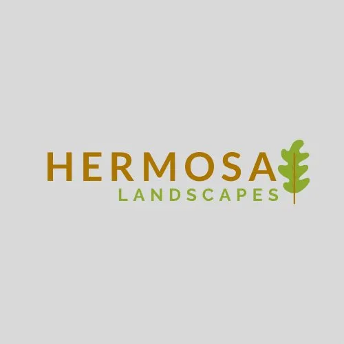 Professional lawn care service in Memphis, TN by Hermosa Landscapes