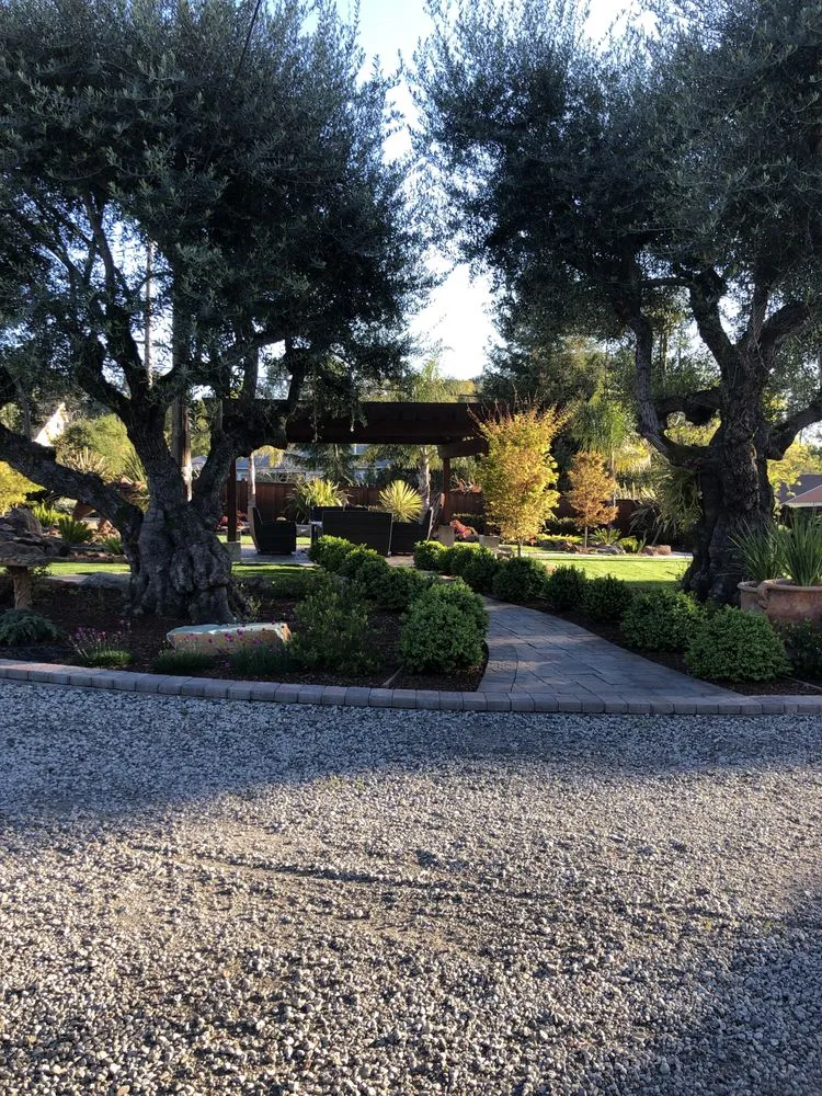 Local yard cleanup service in Hayward, CA - Hernadez Landscape And Fencing