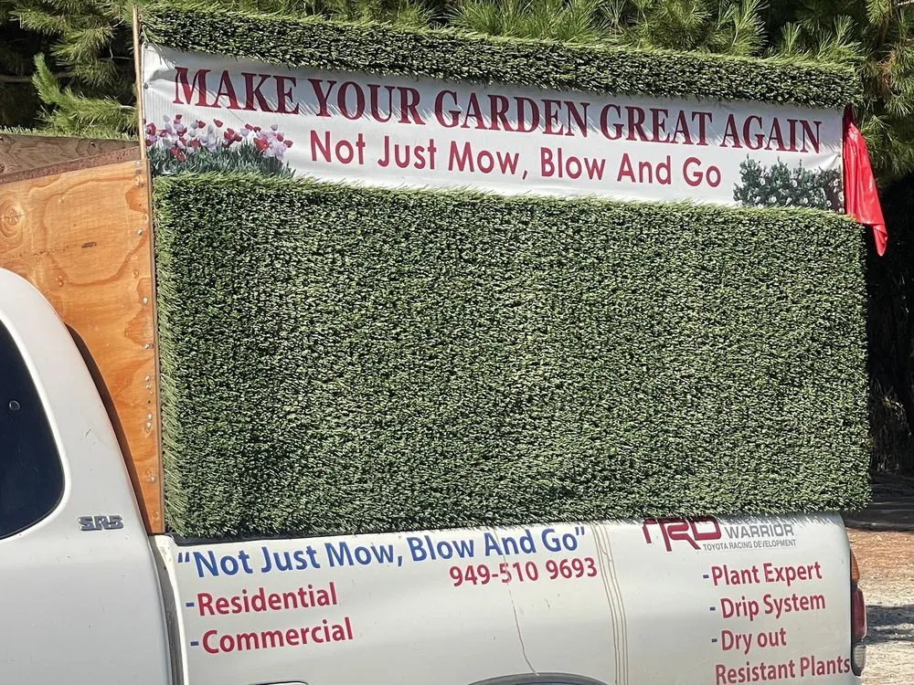 Expert yard cleanup service for year-round maintenance across Lake Forest, CA - Hernandez And Son Landscape