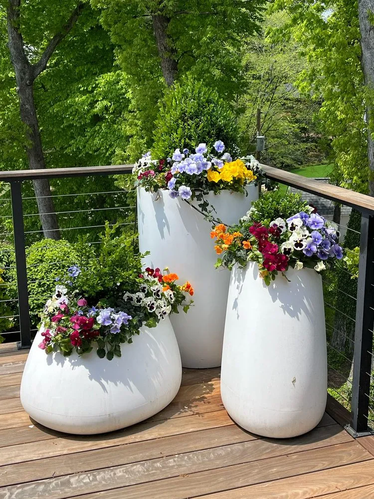 Custom lawn mowing service for residential properties in Trinity, NC by Hernandez ASSOC. Landscaping