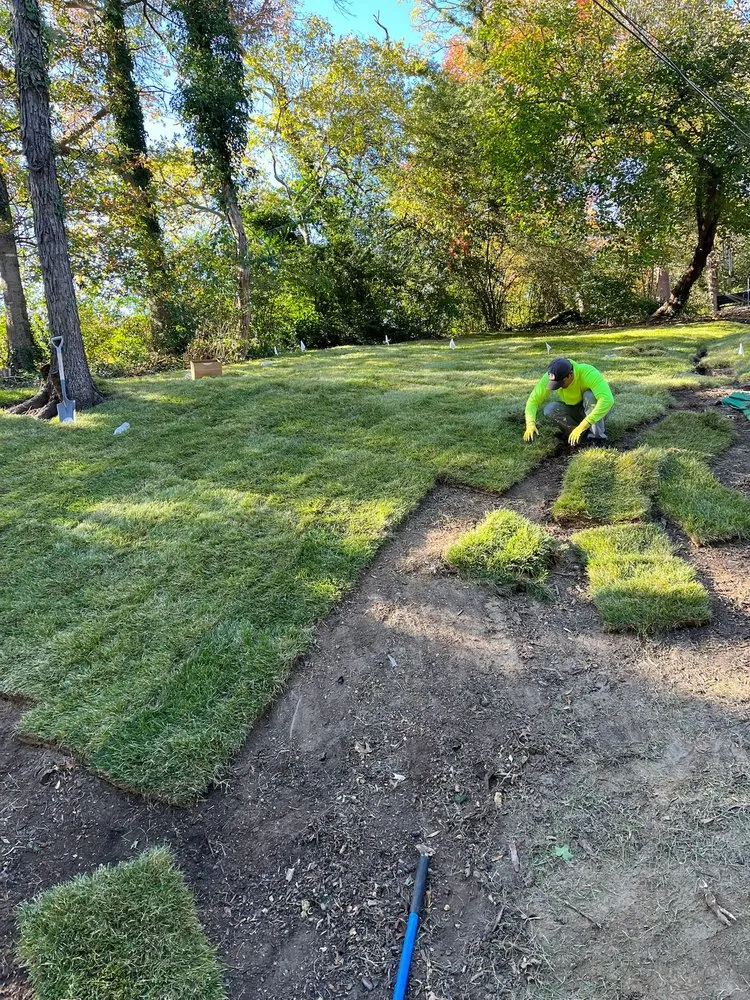 Affordable lawn care service for outdoor upgrades across Trinity, NC - Hernandez ASSOC. Landscaping
