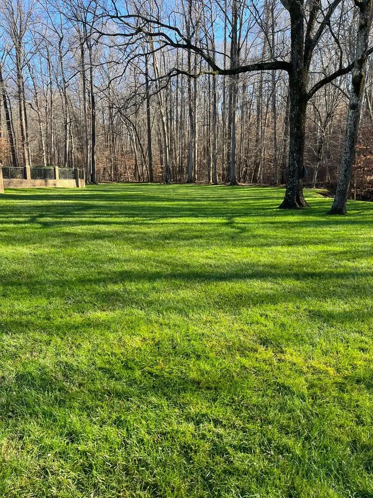 Affordable lawn mowing service in Trinity, NC - Hernandez ASSOC. Landscaping