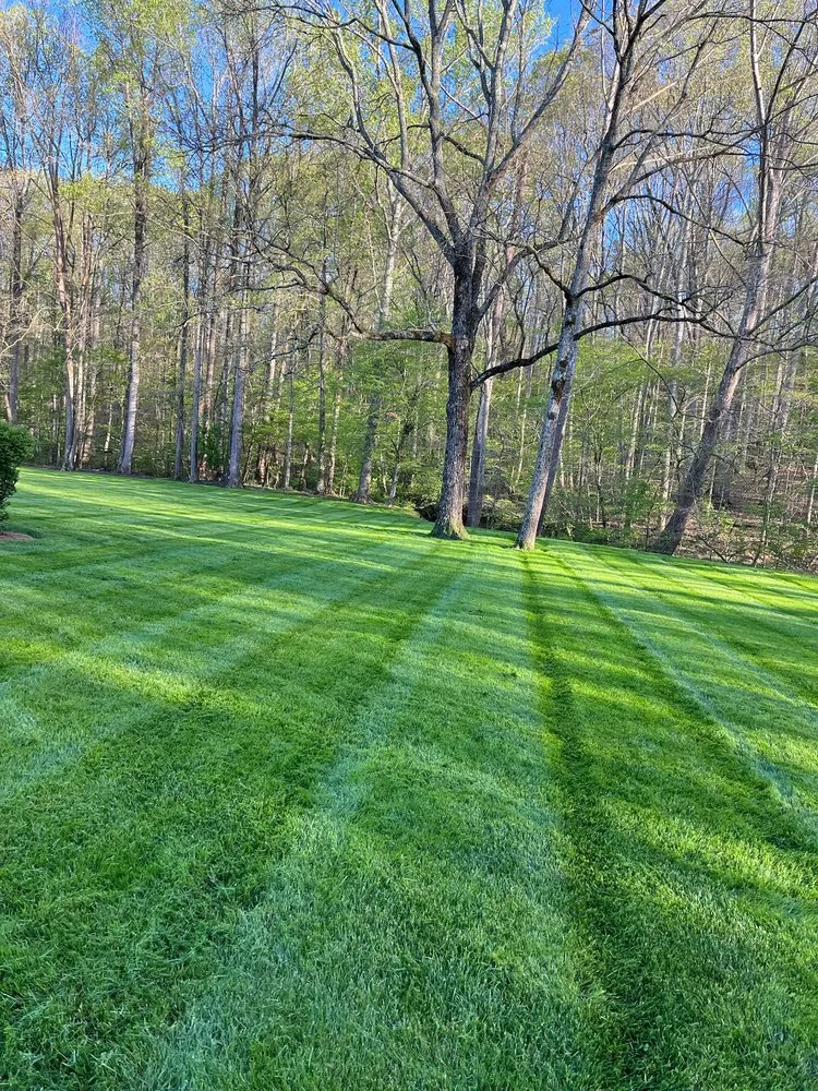 Trusted yard maintenance for outdoor upgrades across Trinity, NC - Hernandez ASSOC. Landscaping