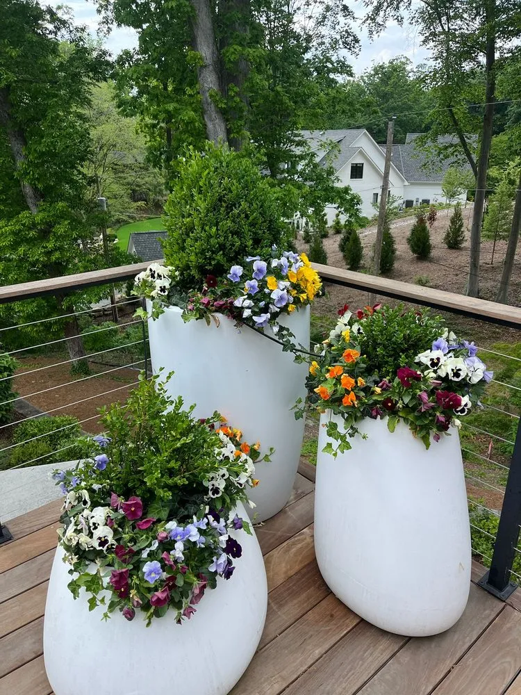 Local landscape installation for outdoor upgrades across Trinity, NC - Hernandez ASSOC. Landscaping