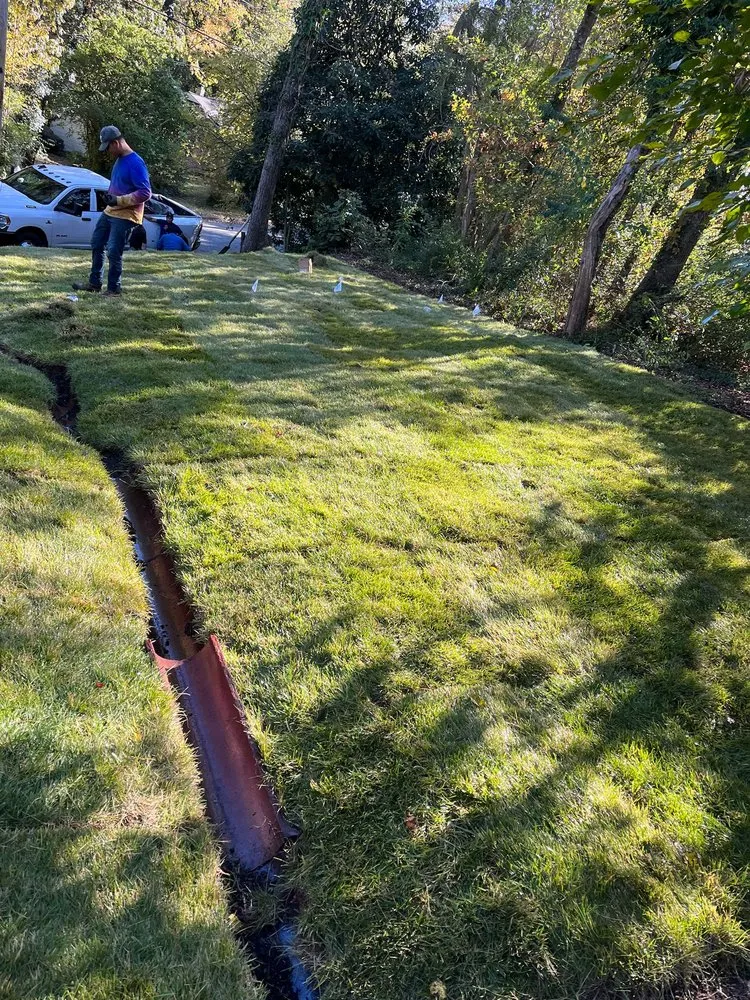 Expert residential landscaping experts serving Trinity, NC - Hernandez ASSOC. Landscaping