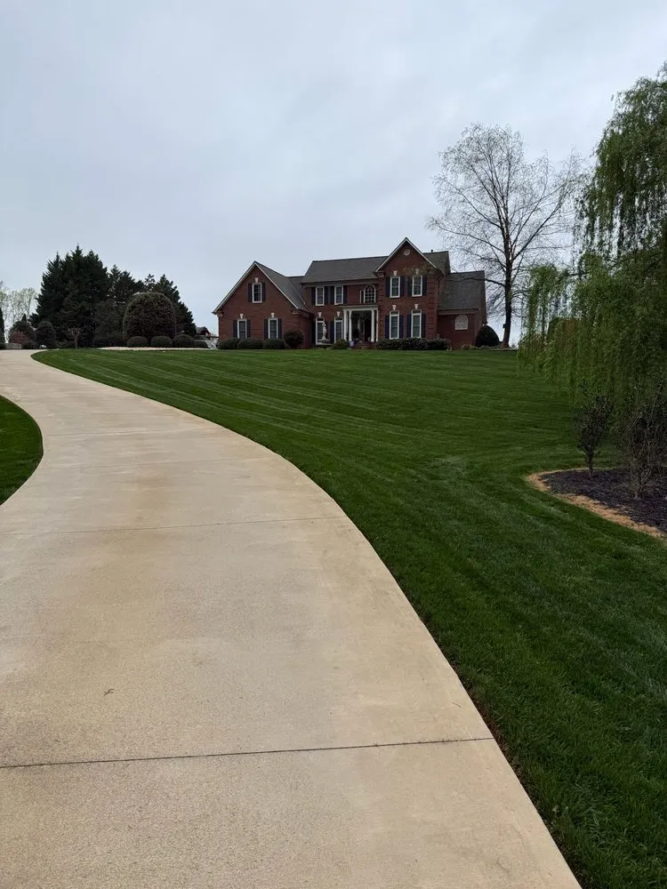 Top-rated yard cleanup service in Trinity, NC - Hernandez ASSOC. Landscaping