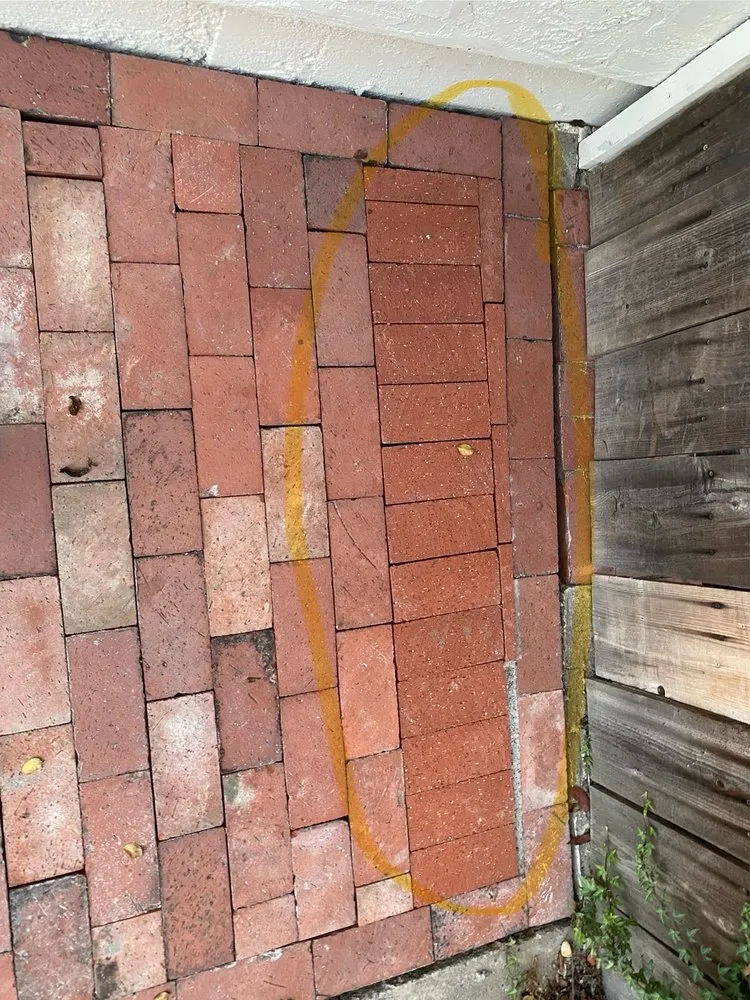 Top-rated yard cleanup service in Escondido, CA by Hernandez Brothers Landscaping