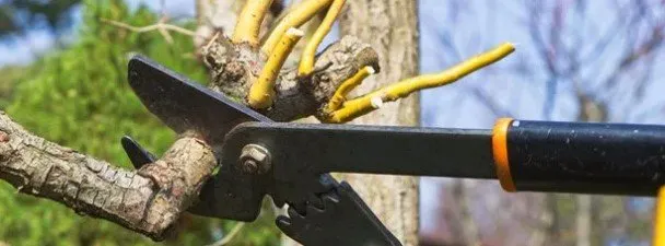 Reliable garden landscaping for homes in Rockford, IL by Hernandez Brothers