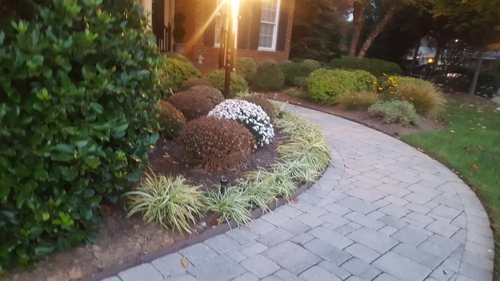 Expert yard maintenance in Rockville, MD by Hernandez Company