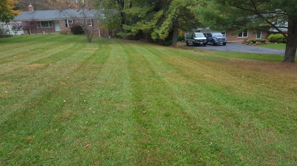 Professional garden landscaping with custom design across Rockville, MD - Hernandez Company