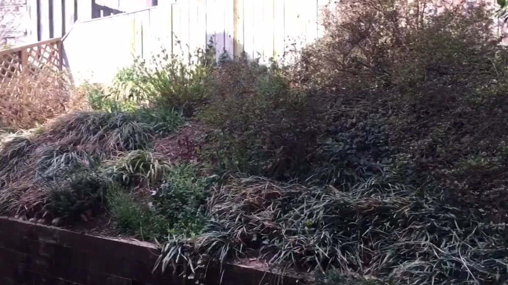 Custom yard maintenance experts serving Rockville, MD - Hernandez Company