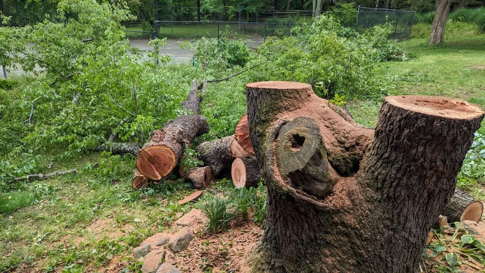 Trusted lawn care service for outdoor upgrades in Accokeek, MD by Hernandez Complete Tree Services