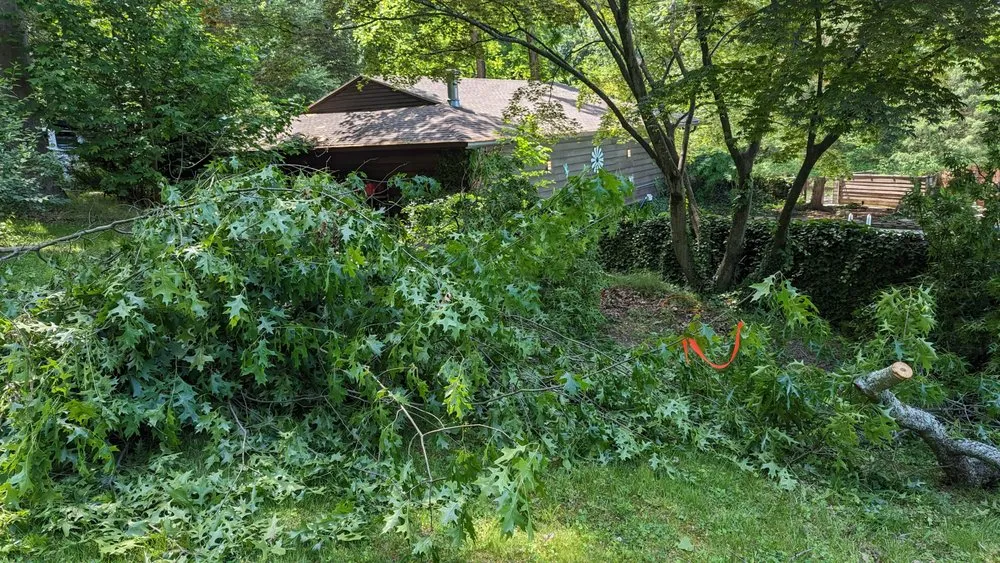 Local landscape installation for residential properties in Accokeek, MD by Hernandez Complete Tree Services