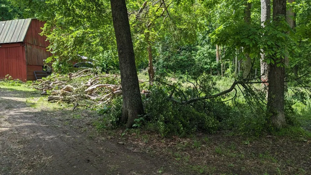 Reliable landscaping services in Accokeek, MD - Hernandez Complete Tree Services