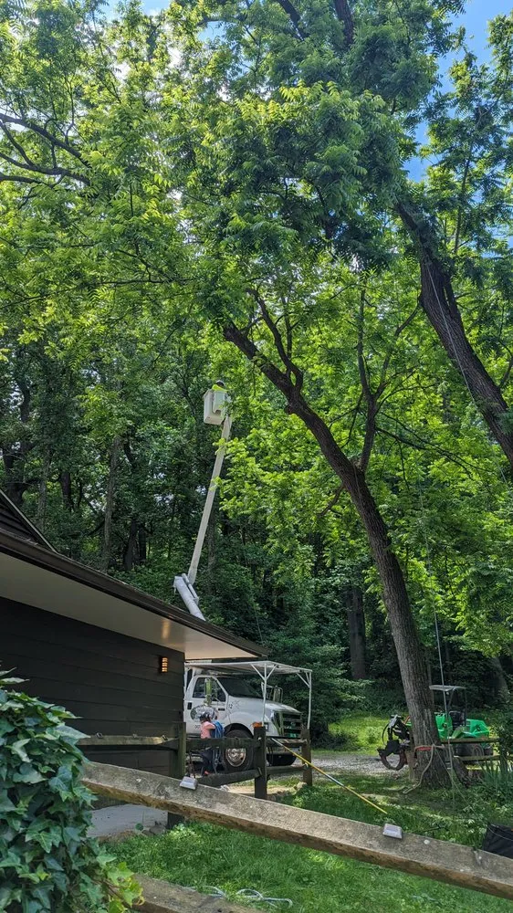 Reliable yard cleanup service in Accokeek, MD by Hernandez Complete Tree Services