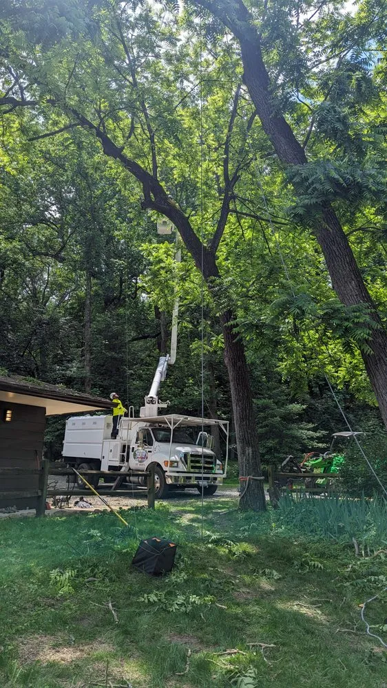 Professional garden landscaping in Accokeek, MD - Hernandez Complete Tree Services