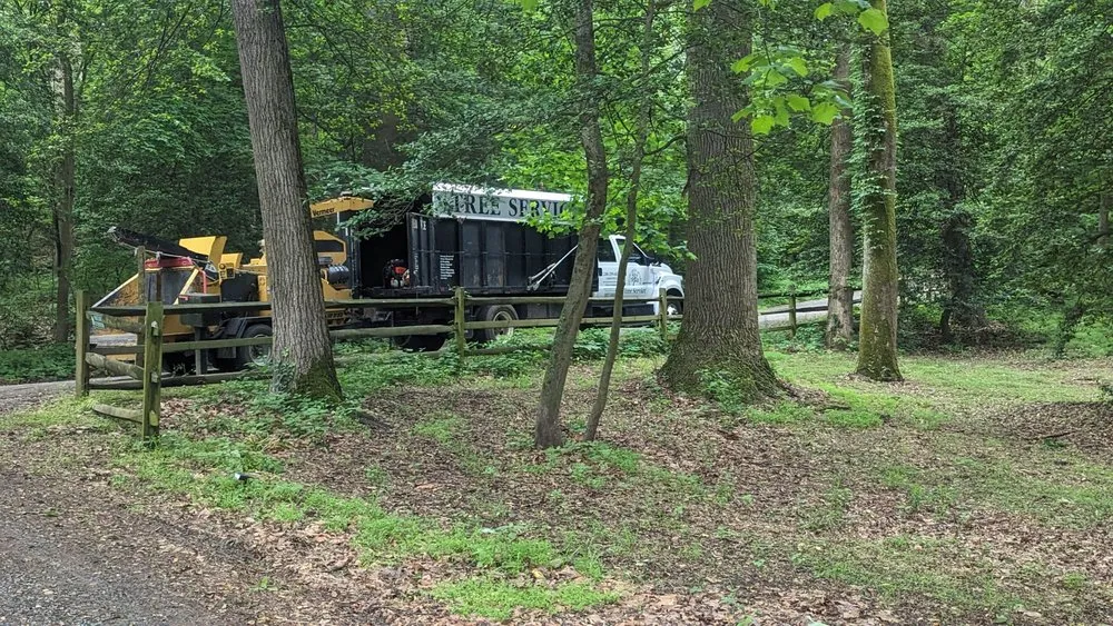 Professional landscape design experts serving Accokeek, MD - Hernandez Complete Tree Services