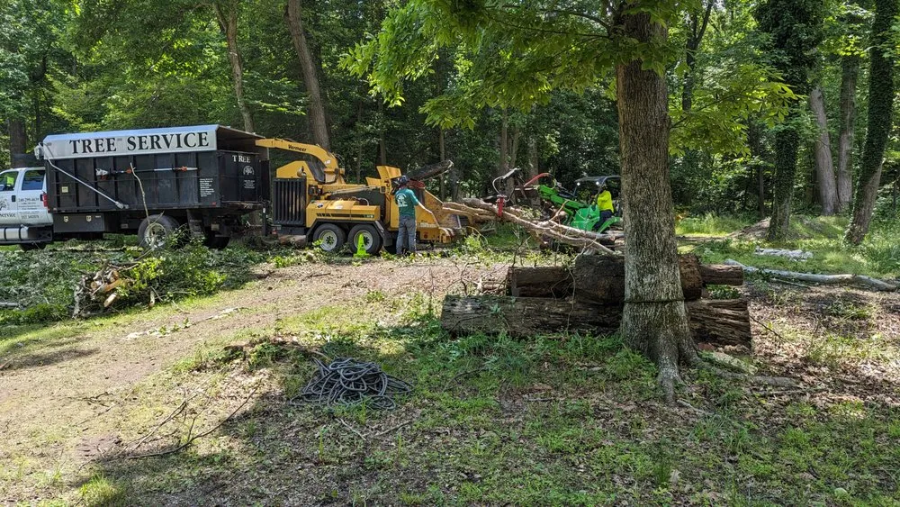 Professional yard maintenance for residential properties in Accokeek, MD by Hernandez Complete Tree Services