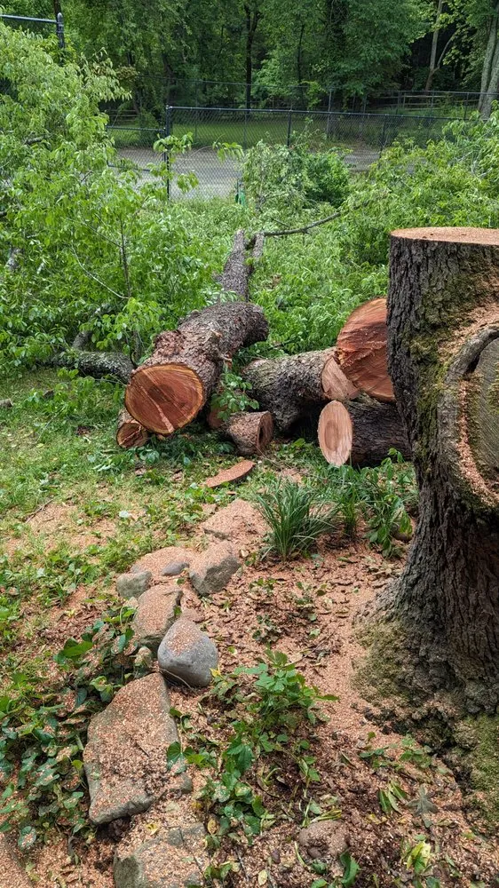 Custom residential landscaping near you across Accokeek, MD - Hernandez Complete Tree Services