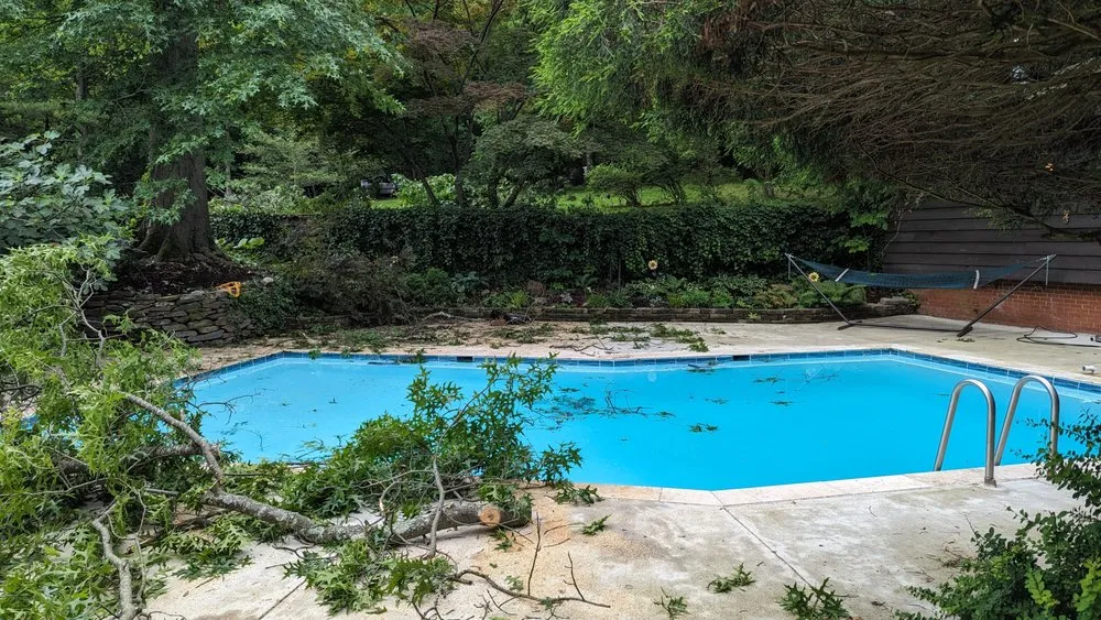 Professional lawn care service with custom design across Accokeek, MD - Hernandez Complete Tree Services