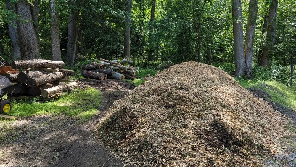 Custom landscape design for year-round maintenance across Accokeek, MD - Hernandez Complete Tree Services