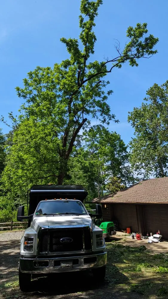 Top-rated landscape design with custom design across Accokeek, MD - Hernandez Complete Tree Services