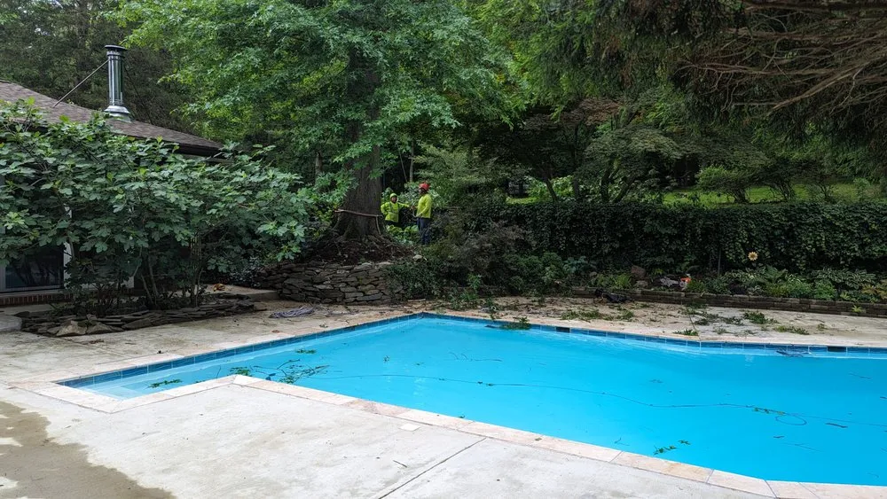 Affordable outdoor landscaping in Accokeek, MD - Hernandez Complete Tree Services