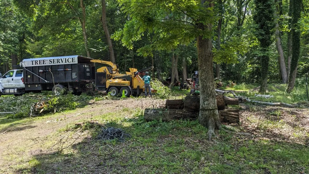 Local outdoor landscaping near you across Accokeek, MD - Hernandez Complete Tree Services