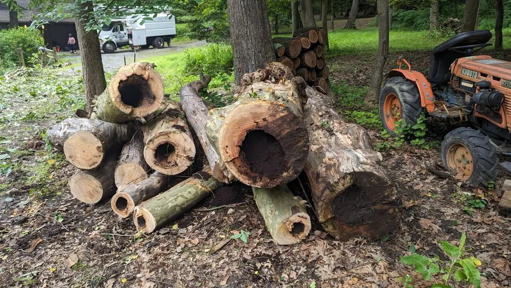 Top-rated landscape installation for homes in Accokeek, MD by Hernandez Complete Tree Services