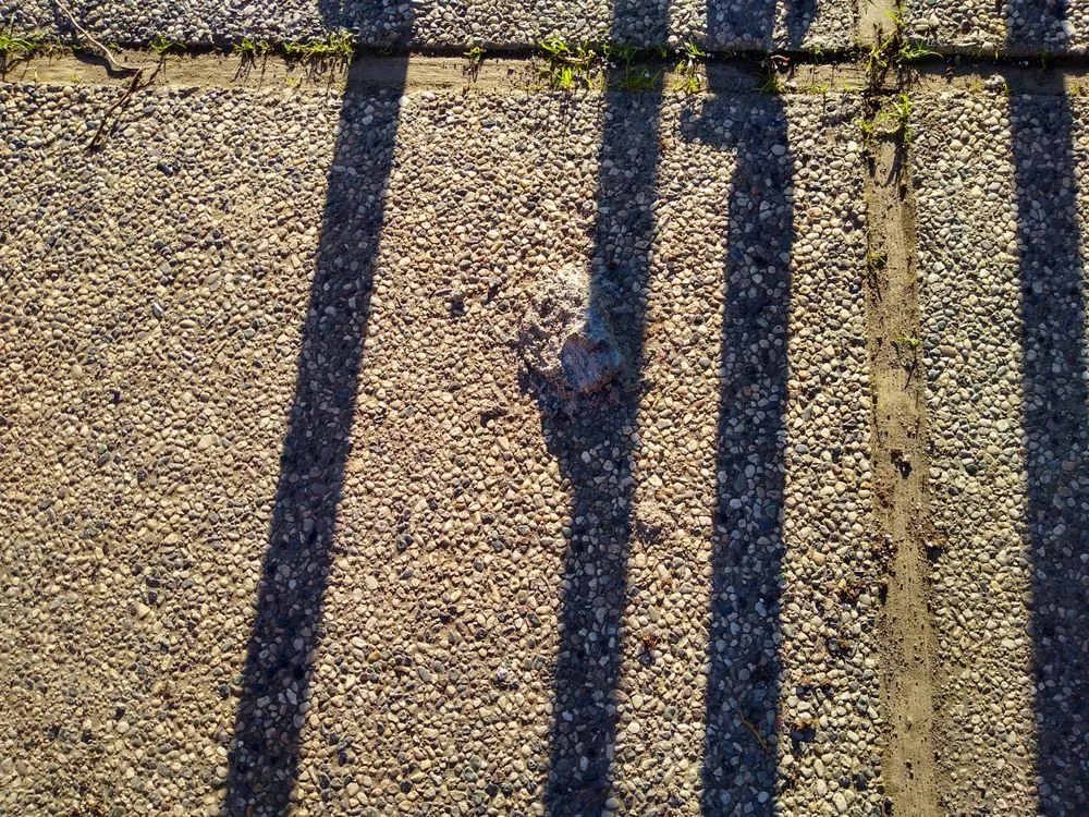 Trusted garden landscaping experts serving San Jose, CA - Hernandez Garden Service