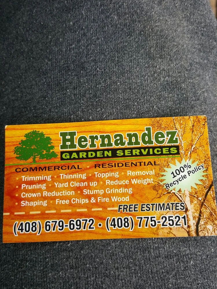 Professional yard cleanup service experts serving San Jose, CA - Hernandez Garden Service