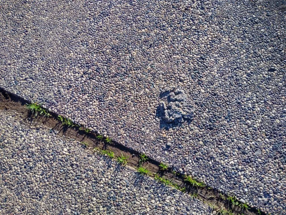 Expert lawn care service in San Jose, CA by Hernandez Garden Service