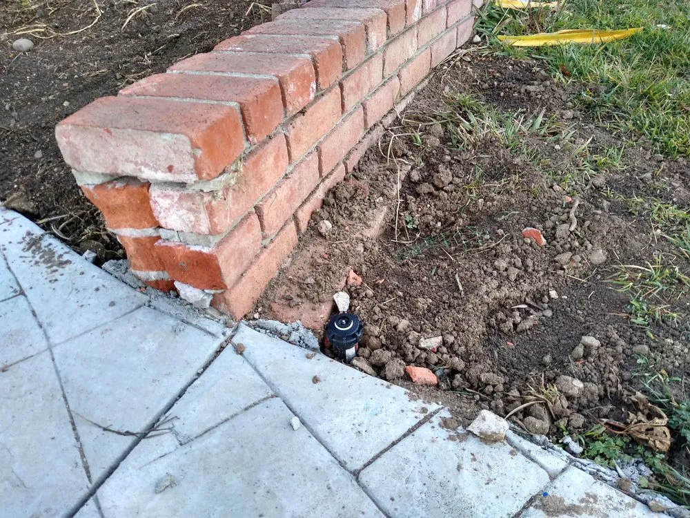 Expert yard maintenance for year-round maintenance in San Jose, CA by Hernandez Garden Service