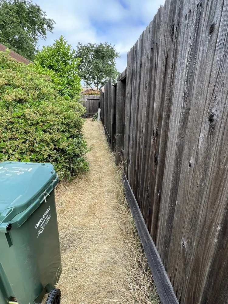 Affordable landscape design in West Sacramento, CA - Hernandez Gardening