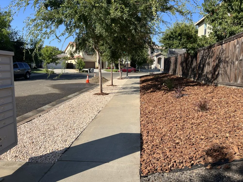 Professional yard cleanup service in West Sacramento, CA by Hernandez Gardening