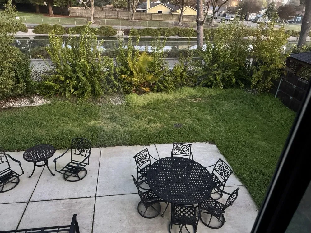 Expert yard cleanup service experts serving West Sacramento, CA - Hernandez Gardening