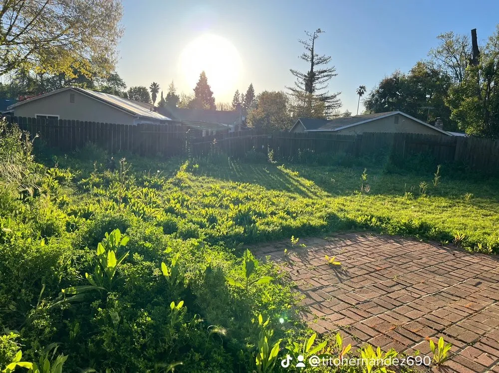 Affordable landscape design experts serving West Sacramento, CA - Hernandez Gardening