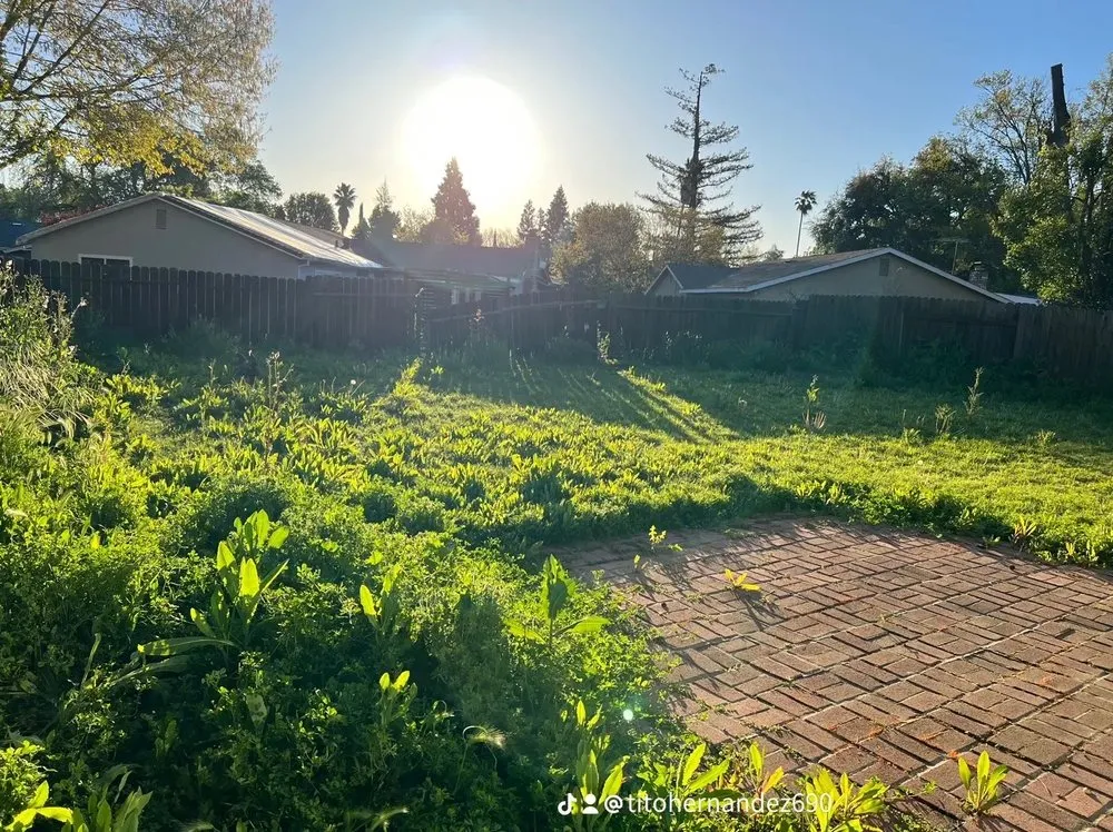 Custom garden landscaping for residential properties across West Sacramento, CA - Hernandez Gardening