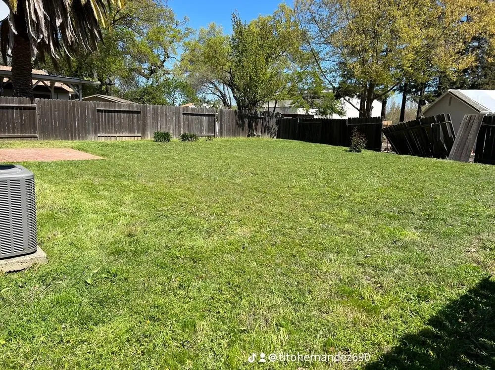 Professional garden landscaping near you in West Sacramento, CA by Hernandez Gardening