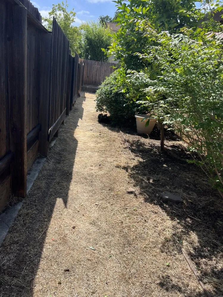 Affordable yard cleanup service experts serving West Sacramento, CA - Hernandez Gardening