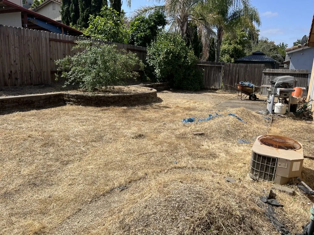 Reliable yard cleanup service for homes across West Sacramento, CA - Hernandez Gardening