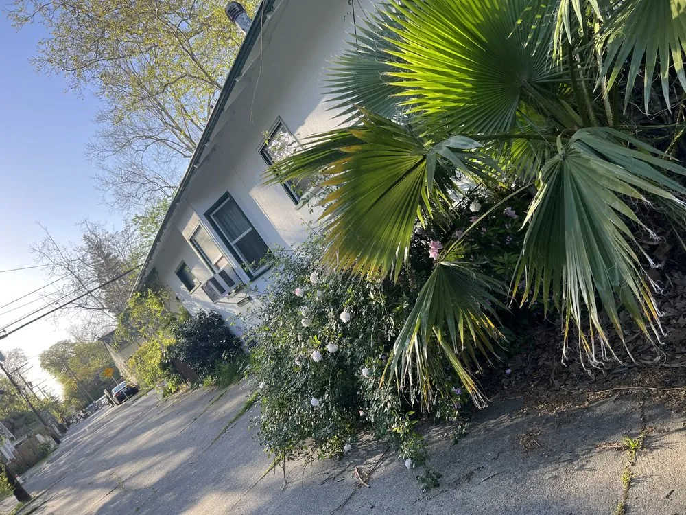 Affordable landscape installation in West Sacramento, CA - Hernandez Gardening