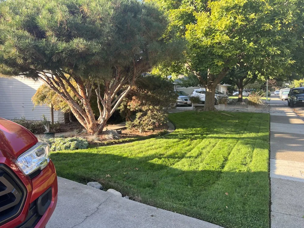 Professional outdoor landscaping experts serving West Sacramento, CA - Hernandez Gardening