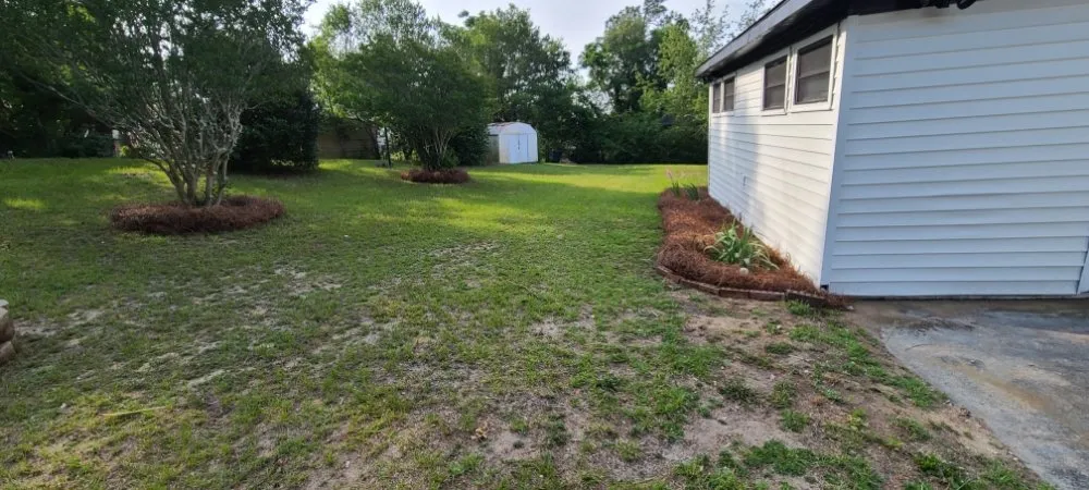 Reliable yard cleanup service for year-round maintenance in Wrens, GA by Hernandez Grounds Works