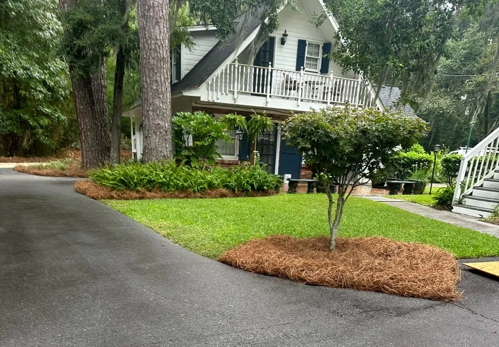 Local landscape design for residential properties across Thunderbolt, GA - Hernandez Group Clean Services