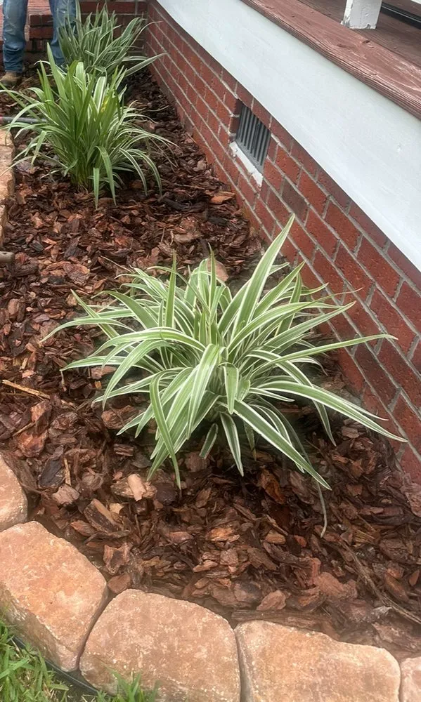 Expert residential landscaping experts serving Thunderbolt, GA - Hernandez Group Clean Services