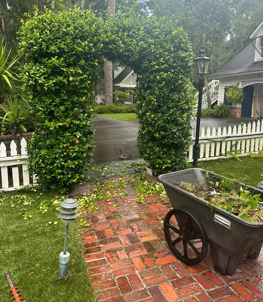 Reliable outdoor landscaping with custom design across Thunderbolt, GA - Hernandez Group Clean Services