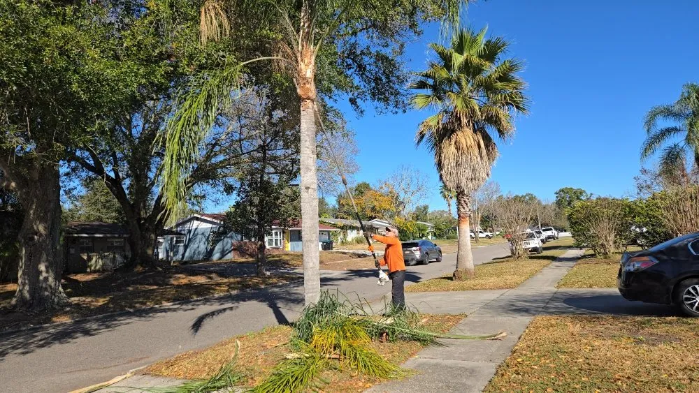 Local landscaping services in Winter Park, FL - Hernandez Home & Landscaping Solutions